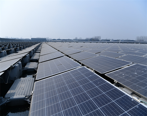 兩部委重磅發(fā)文！